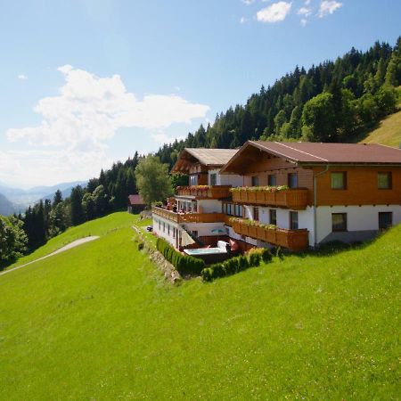 Pension Bergbauernhof Irxner Pichl-Preunegg Exterior photo